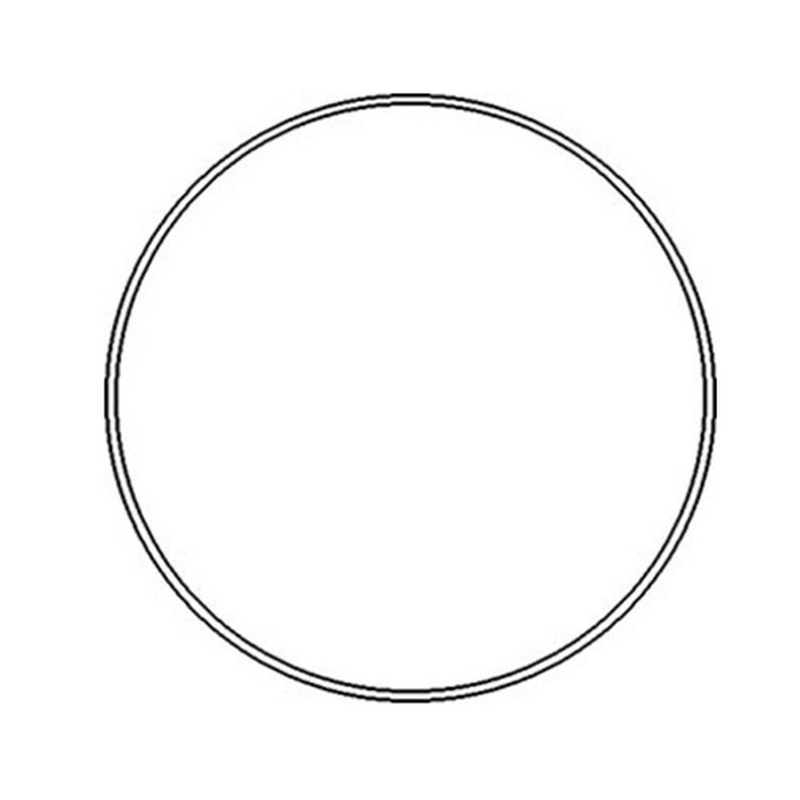 403494 O' Ring