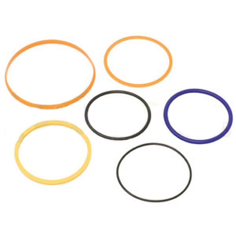 AH164325 Piston Seal Kit Fits John Deere 2.25"