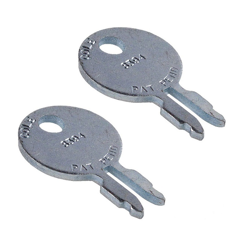 192427M1 2 Ignition Switch Keys Fits Massey Ferguson 35 50 65 85 TO20 TO30