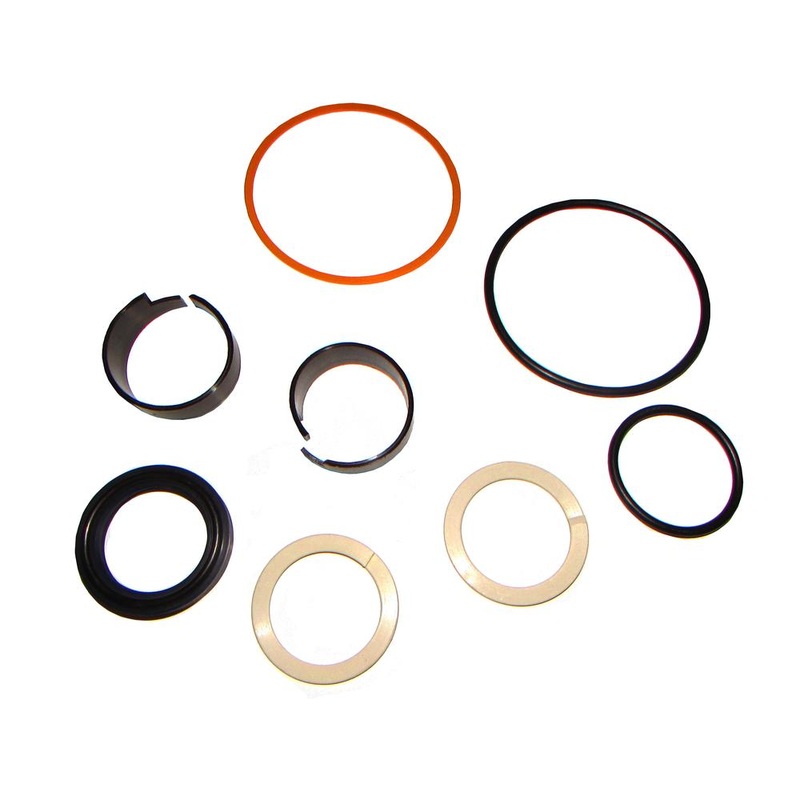 Cylinder Seal Kit Fits Case/International Harvester Replaces D42870