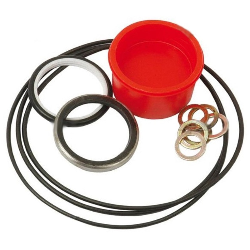 1201-1263 - Orbital Steering Unit Seal Kit Fits Massey Ferguson